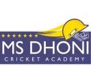 Dps Badminton Academy