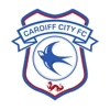 Cardiff City Stadium