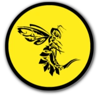 Body-Fighting Club De Montpellier