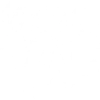 Black Wolf Fitness