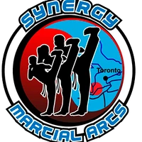 Synergy Martial Arts