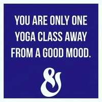 Snake & Twist Pilates And Yoga