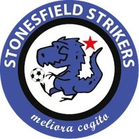 Stonesfield Football Pitch