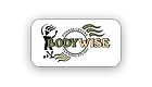 Bodywise Fitness Centre