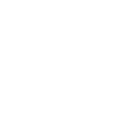 YOGA ORCHIES