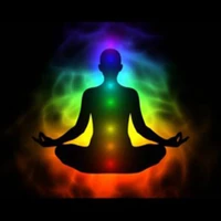Anand Yoga Therapy Institute