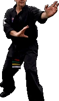 Wing Chun Australia - Australasian Yong Chun Pai