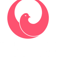 karaté contact