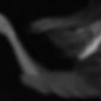 Cie Laflux