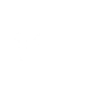 The Archertype