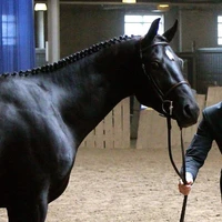 Ash Meadow Farms and Carriage Company