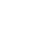 Dr Vibeke Murphy Holistic Chiropractor