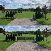Tay Valley Riding School