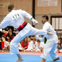KARATENOMICHI WORLD FEDERATION INDIA
