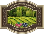 Club de Golf le Sommet