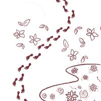 Sadhanapada