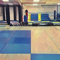 Cambridge MMA