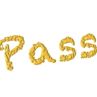 Danse Passion 49