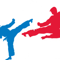 Action Taekwondo Canberra: Harrison