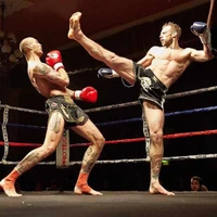 Viking Fight Fitness - Muay Thai Coach & Personal Trainer St Albans
