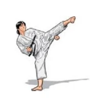 South East Australian Taekwondo