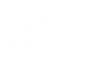 Elements Gymnastics Academy LTD