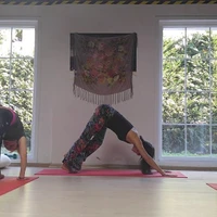 Aayaa Yoga