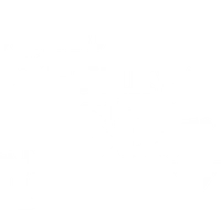 Studio Funky Star