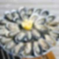 Campos coquillages