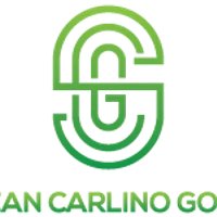 Sean Carlino Golf