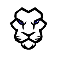 Black Lions Football Américain