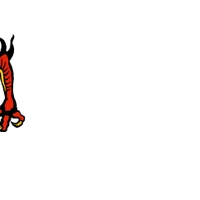 TOA Fighting Systems