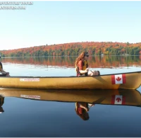 Algonquin Park Adventure Tours