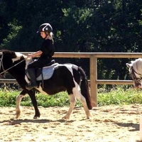 Stables Des Chênes