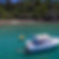 Fish Tutukaka