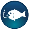 Bay of Islands Swordfish Club Inc