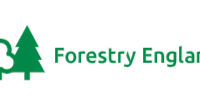 Stainburn Forest