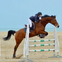 Centre Equestre de Ouistreham