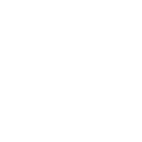 Pro Action