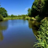Tetley Angling - Silverbirch Fisheries Private Members Water