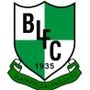 Blackfield and Langley Football Club