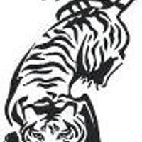 Silent Tiger Martial Arts