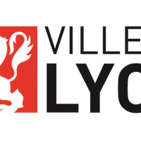 Company Fencing De Lyon