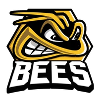 Bees Ice Hockey Club
