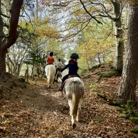 Horse Farm De L'herm