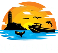 Aquaventures Whale & Dolphin Watching Tours, Diving & Snorkel Rental