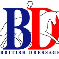 My Equestrian life