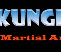 Ninja Kungfu Martial arts academy