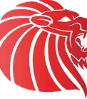 Keira Cricket Club | Home of the Keira Lions