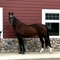 New Horizon Ranch